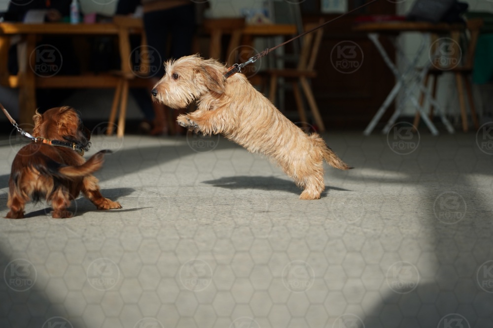 s_A9_09075.jpg